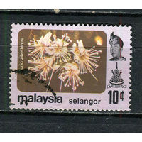 Малайские штаты - Селангор - 1979 - Цветы 10С - [Mi.115] - 1 марка. Гашеная.  (Лот 59FC)-T25P11