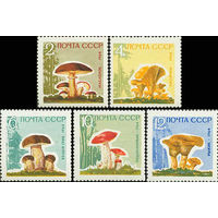 Грибы СССР 1964 год серия (3123А-3127А) из 5 марок (с лаковым покрытием)