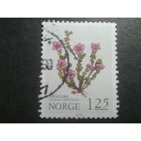 Норвегия 1979 цветы