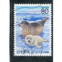 Япония. Фауна. Тюлени
