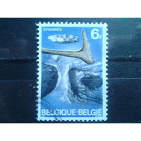Бельгия 1968 Археология, неолит