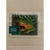 Австралия 2003. Лягушки