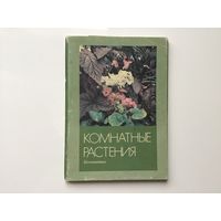 Фото А. Терзиева.	"Комнатные растения. Бегониевые".  16 открыток-фото. 150х100 мм.