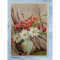 1957. цветы. Голяховский. Ромашки и маки