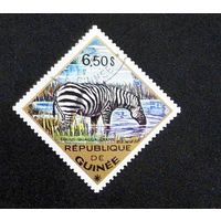 Гвинея 1975 г. Дикие животные. Фауна