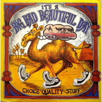 It's A Beautiful Day, Choice Quality Stuff / Anytime, LP 1971