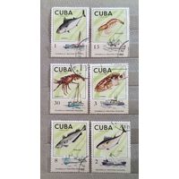 Куба 1975 г. Промысловые виды рыб и креветки Руболовецкий флот Полная серия из 6 марок