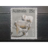 Австралия 1969 овцы