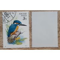 Венгрия 1990 Птицы.Обыкновенный зимородок. Mi-HU 4071A