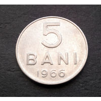 5 бани 1966 Румыния #04