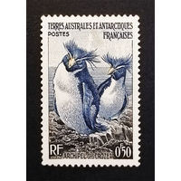 ТААФ Французские антарктические территории 1956 г. Пингвины. Фауна, 1 марка. Чистая #0048-Ч1P6