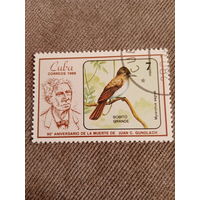 Куба 1986. Птицы. Myiarchus Sagrae