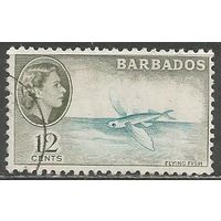 Барбадос. Королева Елизавета II. Летающая рыба. 1953г. Mi#210.