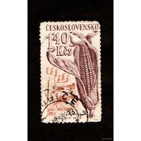 Марка-Чехословакия-1961- Сельскохозяйственная продукция-Zea Mays(кукуруза)