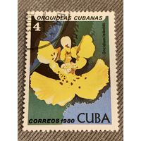 Куба 1980. Орхидеи кубы. Oncidium leiboldil. Марка из серии