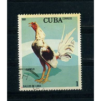 Куба 1981г. петухи Фауна (АНД