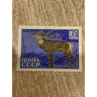 СССР 1970. Изюбрь. Марка из серии