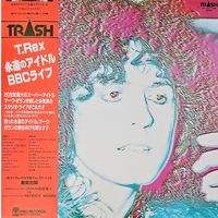T.REX. ACROSS THE AIRWAVES (FIRST PRESSING)