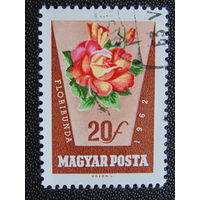 Венгрия 1962 г. Цветы.