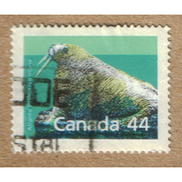 Марка Канада морж