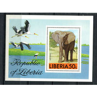Либерия - 1976 - Африканские животные - [Mi. bl. 82] - 1 блок. MNH.  (Лот 116CO)