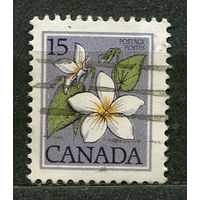 Цветы. Канадская фиалка. Канада. 1979. Полная серия 1 марка