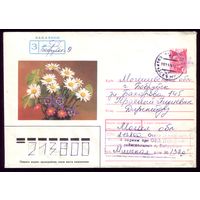 Цветы Бобруйск 579
