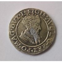 4 гроша. Чворак 1569 года. Сигізмунд II Август (R1)