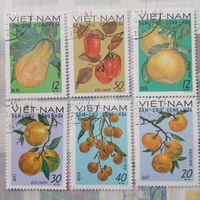 Вьетнам. Экзотические фрукты