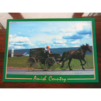 С005-3109 Открытка Amish Country Амиши США Конец 1990-х – начало 2000-х Подписана