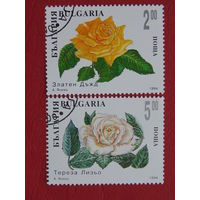Болгария 1994 г. Цветы. Розы.