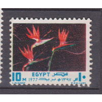 Культура фестиваль Искусство Египет 1977 год лот 50 ПОЛНАЯ СЕРИЯ