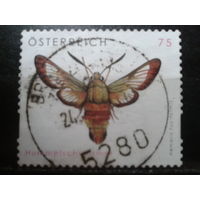 Австрия 2008 Стандарт, ночная бабочка Михель-2,0 евро гаш