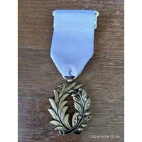 Орден Академических Пальм офицер академии 1941-1955 г.г. - иностранная награда реплика