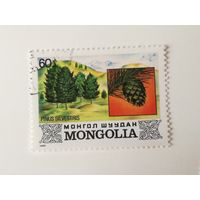 Монголия 1982. Деревья Монголии.