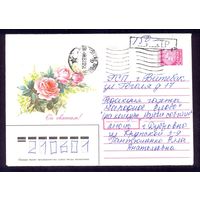 Беларусь флора розы провизория "150" от руки