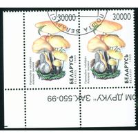 Грибы Беларусь 1999 год (341) сцепка из 2-х марок