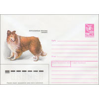 Художественный маркированный конверт СССР N 89-132 (09.03.1989) Шотландская овчарка (Колли)