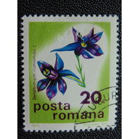 Румыния 1975 г. Цветы.