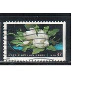США-2004 (Мих.3851 BD) , гаш., Цветы, Магнолия, Живопись (одиночка),