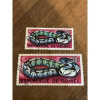 Гвинея 1967. Змеи Гвинеи. Малая и большая марка. Марка из серии