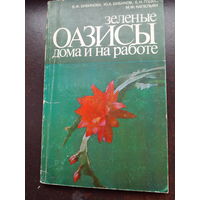 Зеленые оазисы дома и на работе.