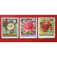 Австралия. Цветы. ( 3 марки ) 1968 года. 10-4.