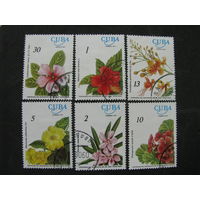 Куба 1977 100-летие со дня рождения доктора Хуана Томаса Рога Кубинские цветы полная серия