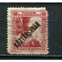 Венгрия - 1918 - Надпечатка KOZTARSASAG 40f+2f - (есть тонкое место) - [Mi.221] - 1 марка. MH.  (Лот 55Fe)-T25P13