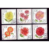 6 марок 1979 год ГДР Цветы 2435-2440