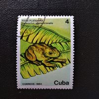 Марка Куба 1984 год Фауна