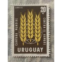 Уругвай. Развитие сельского хозяйства