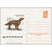Художественный маркированный конверт СССР N 13068 (12.09.1978) Охотничьи собаки  Ирландский сеттер