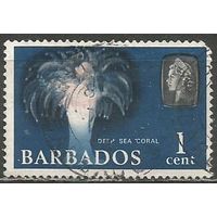 Барбадос. Кораллы. 1965г. Mi#235.